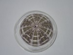 P1232644-t.jpg