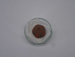 P1232645-t.jpg