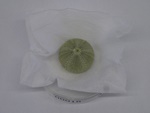 P1232658-t.jpg