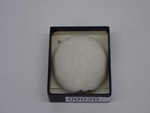P1232660-t.jpg