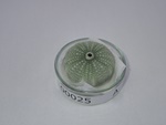 P1232665-t.jpg