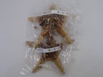 P1232674-t.jpg