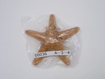 P1232675-t.jpg