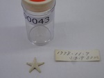 P1232682-t.jpg