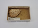 P1232684-t.jpg