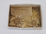 P1232694-t.jpg
