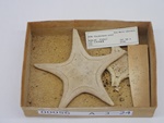 P1232695-t.jpg