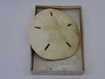 P1232696-t.jpg