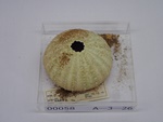 P1232697-t.jpg