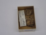 P1232699-t.jpg
