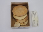 P1232703-t.jpg