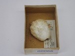 P1232705-t.jpg