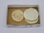 P1232706-t.jpg