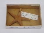 P1232707-t.jpg