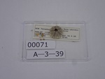 P1232710-t.jpg