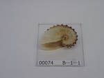 P1232713-t.jpg