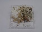 P1232714-t.jpg