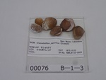P1232715-t.jpg