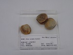 P1232716-t.jpg
