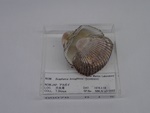 P1232717-t.jpg