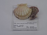 P1232719-t.jpg