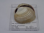 P1232722-t.jpg
