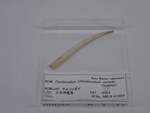 P1232723-t.jpg
