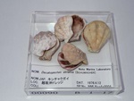 P1232729-t.jpg