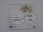 P1232730-t.jpg