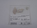P1232731-t.jpg