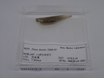 P1232732-t.jpg