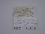P1232733-t.jpg