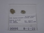 P1232734-t.jpg