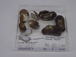 P1232736-t.jpg