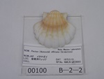 P1232739-t.jpg