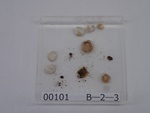P1232740-t.jpg