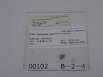 P1232741-t.jpg