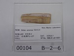 P1232743-t.jpg