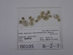 P1232744-t.jpg