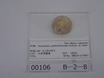 P1232745-t.jpg