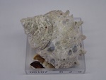 P1232746-t.jpg
