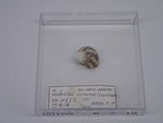 P1232747-t.jpg