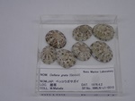 P1232748-t.jpg