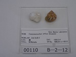 P1232749-t.jpg