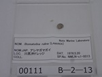 P1232750-t.jpg