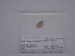 P1232751-t.jpg