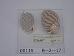 P1232754-t.jpg