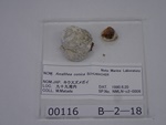 P1232755-t.jpg