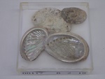 P1232756-t.jpg