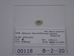 P1232757-t.jpg